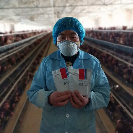 來吧，展示，好評如潮的速壯丁