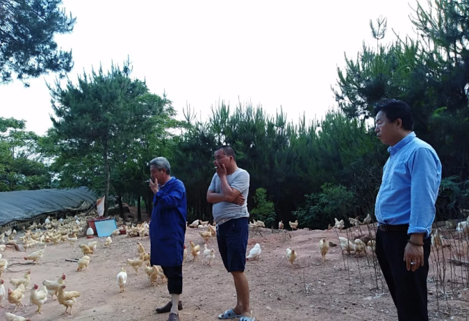 了解市場(chǎng)