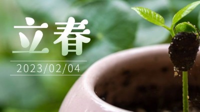 春氣始，萬物生-立春-上海邦森